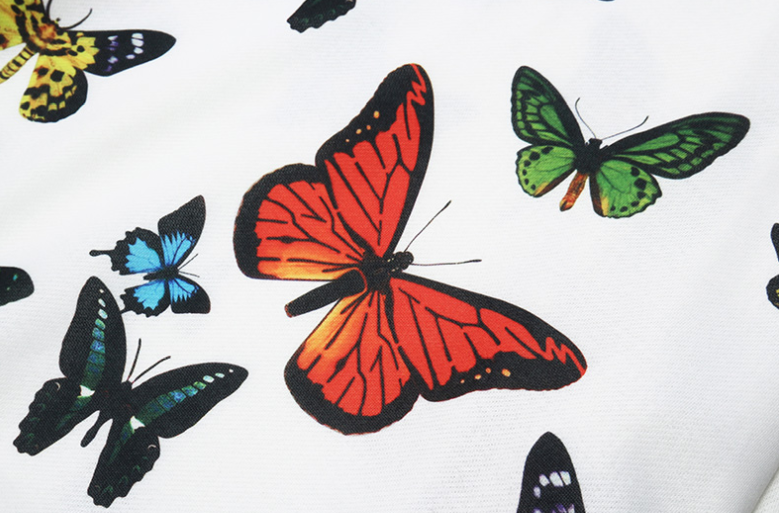 Butterfly Print Loose Hoodie