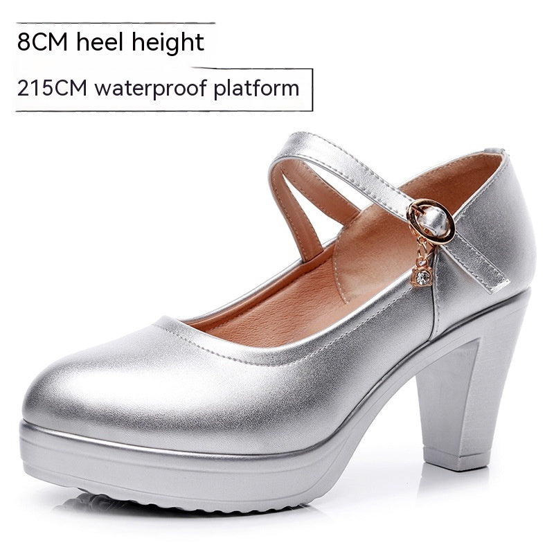 Round Toe Shallow Mouth High Heel Thick Bottom Waterproof Platform Shoes