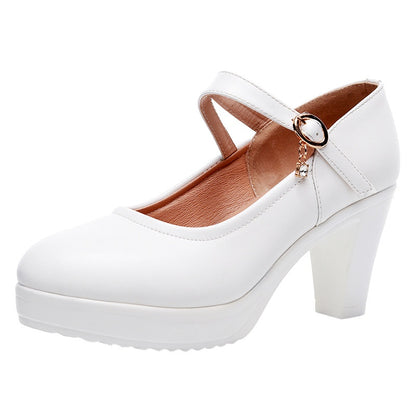 Round Toe Shallow Mouth High Heel Thick Bottom Waterproof Platform Shoes