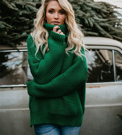 Thick line turtleneck sweater