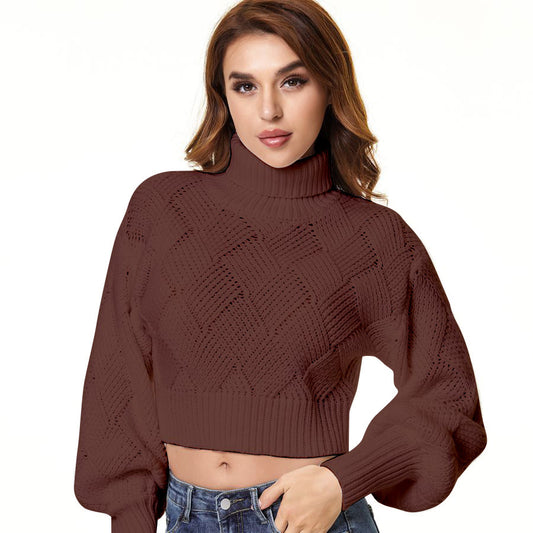 Solid Color Turtleneck Sweater for Women - Loose Fit