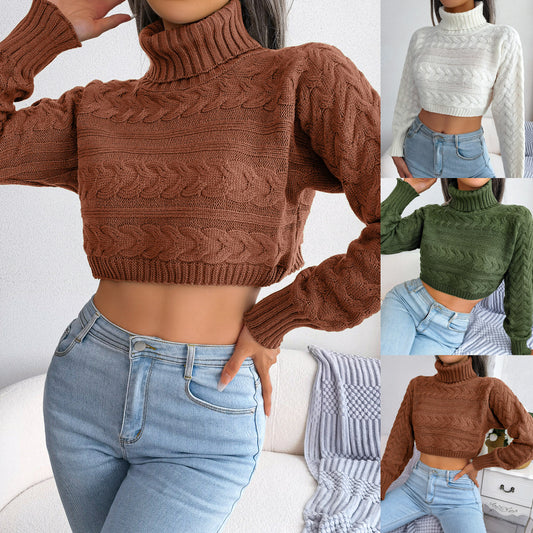 Women's Casual Fried Dough Twist Long Sleeve High Neck Knitting Sweater